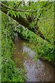 Elmbridge Brook, Westlands, Droitwich Spa, Worcs