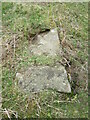 Stone trod near Bagdale House 2