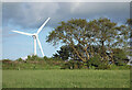 Turbine and Trees