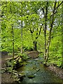 Porter Brook in Whiteley Woods