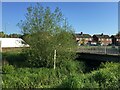 Flood gauge - Cove Brook