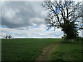 The Macmillan Way near Whichford