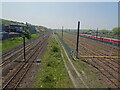 Lamesley railway station (site), Tyne & Wear