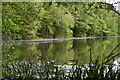 Lake at Alderbury