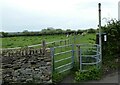 Field opposite Middle Littleton Church