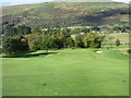 Muckhart Golf Club (Naemoor), 9th Hole, Whitewisp