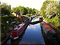 Saltisford canal arm, Warwick