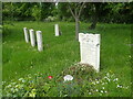 War graves in West Norwood Cemetery