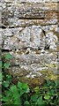 Benchmark on barn in field on SE side of Brown Bank Lane