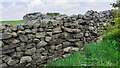 Junction of dry stone walls on NW side of Brown Bank Lane opposite Brown Bank Caravan Park