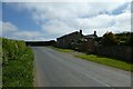 Road near North Lodge