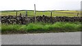 Dry stone wall and fields on west side of Turner Lane opposite Middlemoor Farm