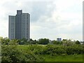 Windmill Lane Flats