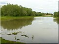 Pond near Rivendell