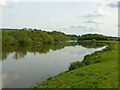 SK6541 : River Trent by Alan Murray-Rust