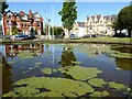 Reflections in Queen