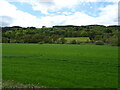 Grassland towards the River Nith