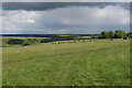 ST9651 : Countryside on the Northern Edge of Salisbury Plain by Chris Heaton
