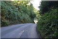 Lane to Chiddingstone Hoath