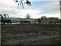 Harvested field at Strageath Mill