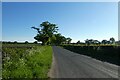 Road between Buttercrambe and Stamford Bridge