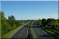 A64 from Bad Bargain Lane