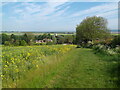 Looking north across Winteringham