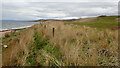 Coastal Fence