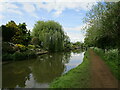 The Oxford Canal at Cropredy