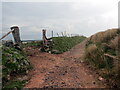 Hen heol i Lwyn-yr-hebog / Old road to Llwyn-yr-hebog