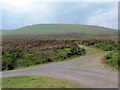 Heol ddiwyneb ger Ty-newydd / Unsurfaced road near Ty-newydd