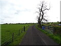 Track to Haplandmuir