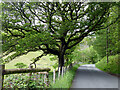 Minor road running through Cwm Cwmnewydion