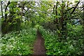 Public footpath near Droitwich Spa, Worcs