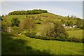 Farmland near Carrog