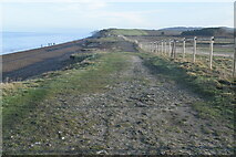 TG1043 : Norfolk Coast Path by N Chadwick
