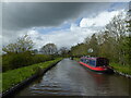 Boats on the Llangollen Canal