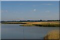 TM3957 : River Alde downstream of Snape by Christopher Hilton
