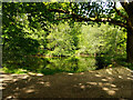 Pond near Westup Farm