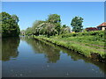 The Bridgewater Canal at Grappenhall