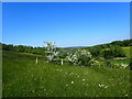 Countryside near Meopham Green