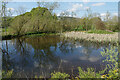 Pond at Perryfoot