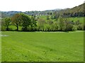 Farmland and Bodynlliw