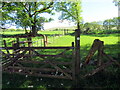 Llwybr ger Gellifiog / Path near Gellifiog