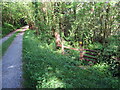 Llwybr ger Gwynfa House / Path near Gwynfa House