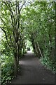 Path south of New Earswick