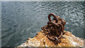 J5082 : Rusted chain, Bangor by Rossographer