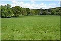 Farmland at Llanelidan