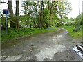 Bridleway near Pwll Goronwy