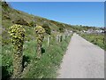 Coastal path south of Gourdon